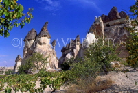 TURKEY, Cappadocia, 'Fairy Chimneys' rock formations, near Zelve, TUR104JPL