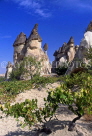 TURKEY, Cappadocia, 'Fairy Chimneys' rock formations, near Zelve, TUR105JPL