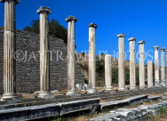 TURKEY, Pergamum, The Asclepion, Ionic Columns, TUR196JPL