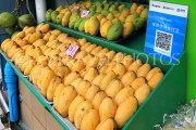Thailand, PHUKET, fruit stall, Mangoes, THA4171JPL