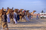 UAE, DUBAI, Camel Racing, DUB243JPL