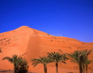 UAE, DUBAI, desert scene, sand dunes and palm trees, UAE211JPL