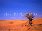 UAE, DUBAI, desert scenery, sand dunes, DUB216JPL