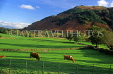 UK, Cumbria, LANGDALE VALLEY, landscape, UK6011JPL