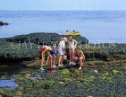 UK, Devon, TORQUAY, children exploring rock pools, UK6040JPL