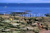 UK, Devon, TORQUAY, people exploring rock pools, DEV465JPL