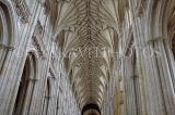 UK, Hampshire, WINCHESTER, Winchester Cathedral, elaborate nave ceiling,  UK8047PL