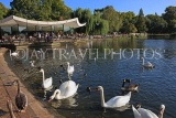 UK, LONDON, Hyde Park, Serpentine lake, lakeside cafe, and swans, UK11777JPL