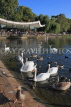 UK, LONDON, Hyde Park, Serpentine lake, lakeside cafe, and swans, UK11778JPL