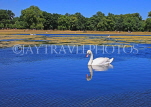 UK, LONDON, Kensington Gardens, Round Pond, and swan swimming, UK9097JPL