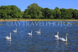 UK, LONDON, Kensington Gardens, Round Pond, and swans, UK19903JPL