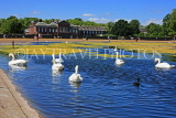 UK, LONDON, Kensington Gardens, Round Pond, and swans swimming, UK9089JPL