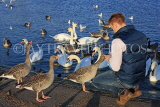 UK, LONDON, Kensington Gardens, Round Pond, man feeding Swans and Geese, UK12046JPL