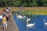 UK, LONDON, Kensington Gardens, Round Pond, people feeding swans, UK9087JPL