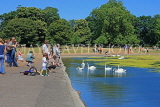 UK, LONDON, Kensington Gardens, Round Pond, people feeding swans, UK9088JPL