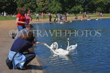 UK, LONDON, Kensington Gardens, Round Pond, people feeding the swans, UK10009JPL