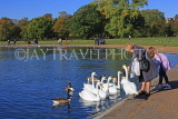 UK, LONDON, Kensington Gardens, Round Pond, woman feeding the swans, UK1068JPL