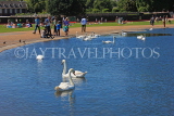UK, LONDON, Kensington Gardens, Round Pond and swans, UK10013JPL