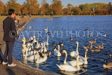 UK, LONDON, Kensington Gardens, Round Pond with Swans and Greylag Geese, UK12044JPL