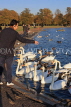 UK, LONDON, Kensington Gardens, The Round Pond, man feeding the Swans, UK12045JPL