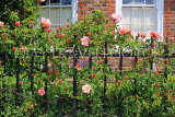 UK, LONDON, Strand on the Green, roses on house railings, UK30319JPL