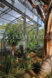 UK, Oxfordshire, OXFORD, Botanic Garden, Arid House plants, UK13117JPL