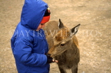 UK, Somerset, farm, child feeding young roe deer, UK5858JPLA