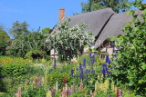 UK, Warwickshire, STRATFORD-UPON-AVON, Anne Hathaways Cottage, UK20260JPL