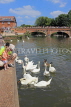 UK, Warwickshire, STRATFORD-UPON-AVON, River Avon, and feeding swans, UK25513JPL