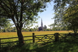 UK, Wiltshire, SALISBURY, Salisbury Cathedral, view from the Watermeadows, UK8180JPL