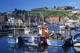 UK, Yorkshire, Whitby, harbourside and fishing boats, UK5068JPL