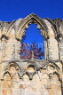 UK, Yorkshire, YORK, St Mary's Abbey ruins, UK9804JPL
