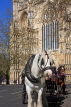 UK, Yorkshire, YORK, horse drawn carriage, by York Minster, UK3150JPL
