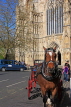 UK, Yorkshire, YORK, horse drawn carriage, by York Minster, UK3152JPL