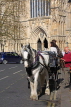 UK, Yorkshire, YORK, horse drawn carriage, by York Minster, UK3153JPL
