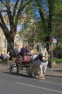 UK, Yorkshire, YORK, horse drawn carriage, tourists riding, UK3163JPL