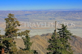 USA, California, Mt San Jacinto State Park scenery, view towards Palm Springs, US4939JPL