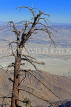 USA, California, Mt San Jacinto State Park scenery, view towards Palm Springs, US4942JPL