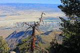 USA, California, Mt San Jacinto State Park scenery, view towards Palm Springs, US4943JPL
