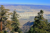 USA, California, Mt San Jacinto State Park scenery, view towards Palm Springs, US4944JPL