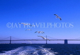 USA, California, SAN FRANCISCO, Bay Bridge and sea gulls, US3443JPL