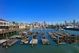 USA, California, SAN FRANCISCO, Fisherman's Wharf, Pier 39 and Sea Lions, US4145JPL