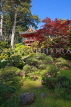 USA, California, SAN FRANCISCO, Golden Gate Park Japanese Tea Gardens, US4086JPL