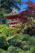 USA, California, SAN FRANCISCO, Golden Gate Park Japanese Tea Gardens, US4152JPL