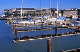 USA, California, SAN FRANCISCO, Pier 39 and Seals, US3867JPL