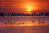 USA, Florida, Anna Maria Island, sunset, US2273JPL