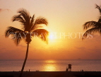 USA, Florida, MIAMI, South Beach, sunrise and coconut trees, MIA609JPL