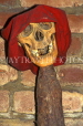 USA, Louisiana, NEW ORLEANS, French Quarter, Voodoo Museum, human skull, LOU279JPL