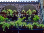 USA, Louisiana, NEW ORLEANS, French Quarter, architecture, ironwork balcony and fern baskets, LOU126JPL