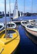 USA, Massachusetts, BOSTON, boating on Charles River, BOS109JPL